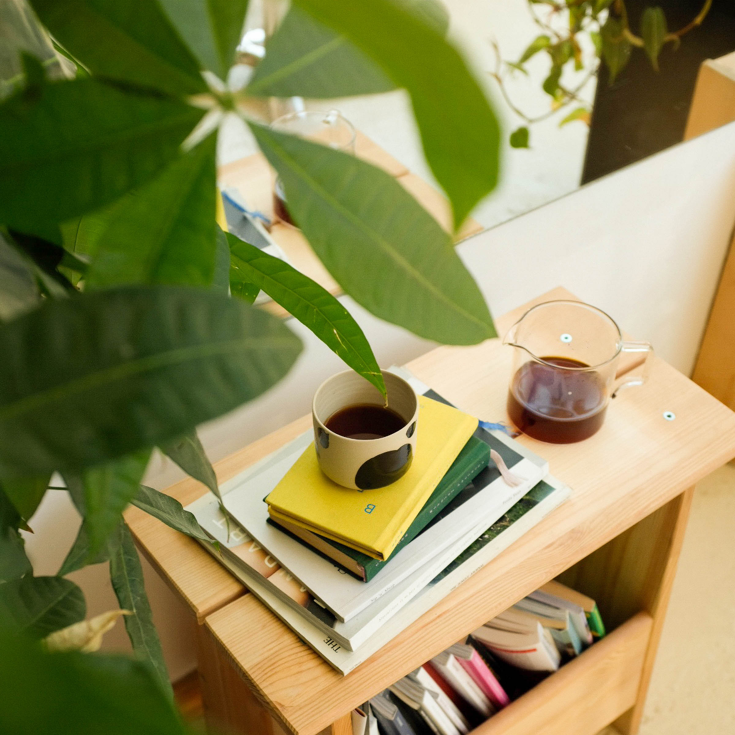 Stylish coffee cup from the Nomi Pepe set on a stack of books, surrounded by greenery in a cozy setting.