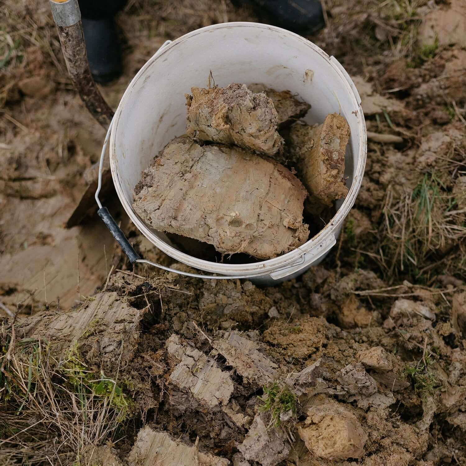 Bucket filled with wild clay from the vineyard, showcasing the connection between soil and ceramic art.